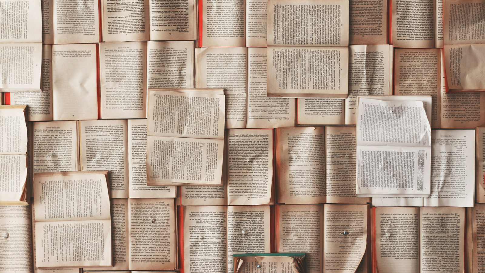 Превью программы 2